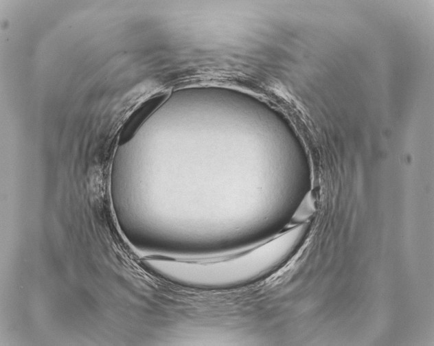 X0000087391353200705111750