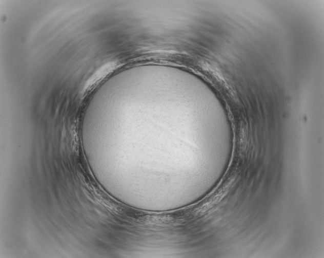 X0000087391354200705111750