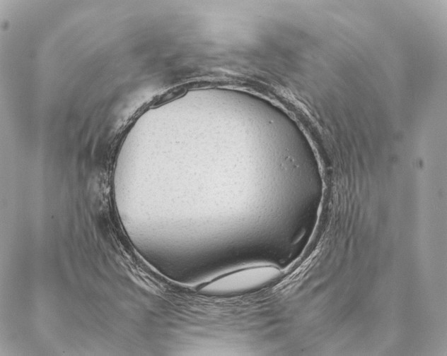 X0000087391355200705111750