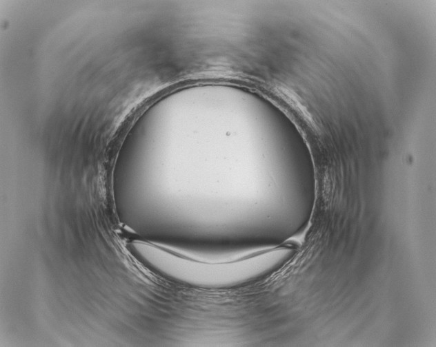 X0000087391356200705111750