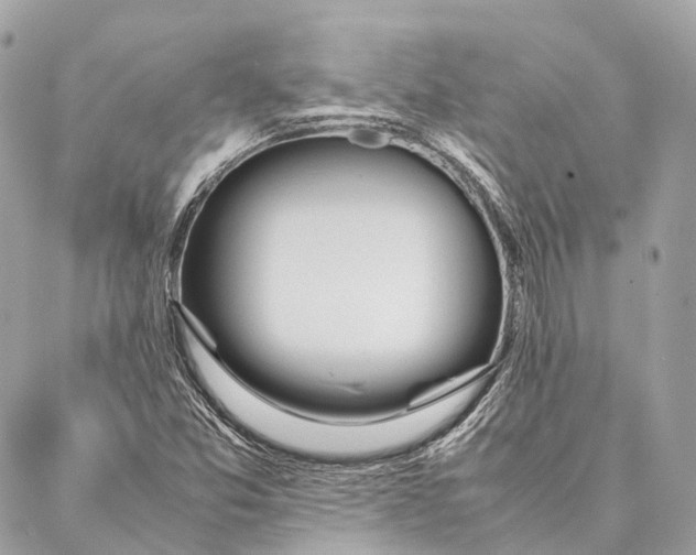 X0000087391357200705111750