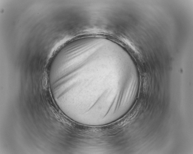 X0000087391358200705111750