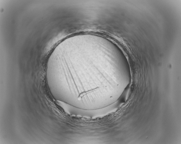 X0000087391359200705111750