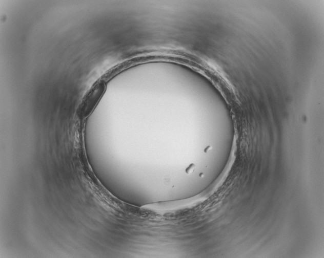 X0000087391360200705111750