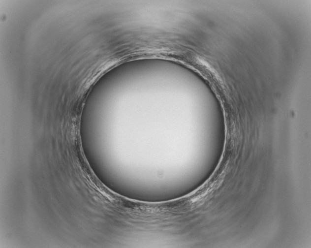 X0000087391361200705111750