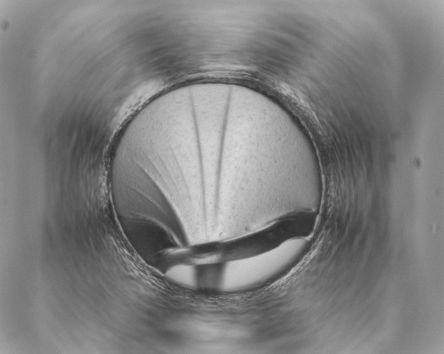 X0000087391362200705111750