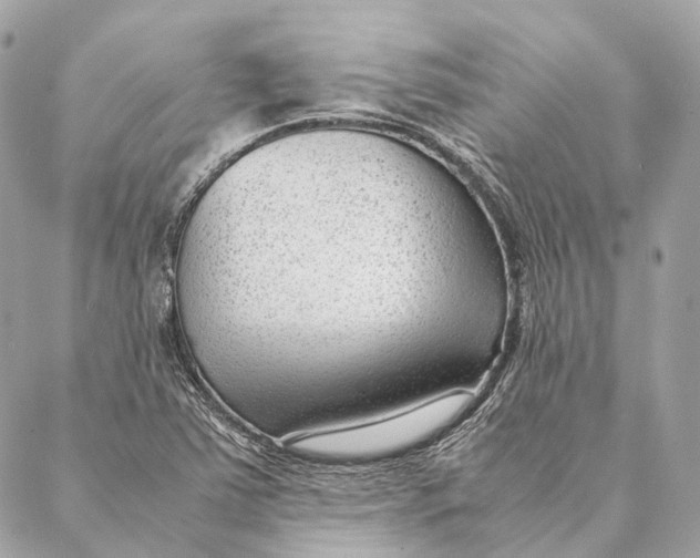 X0000087391363200705111750