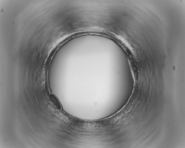 X0000087391364200705111750