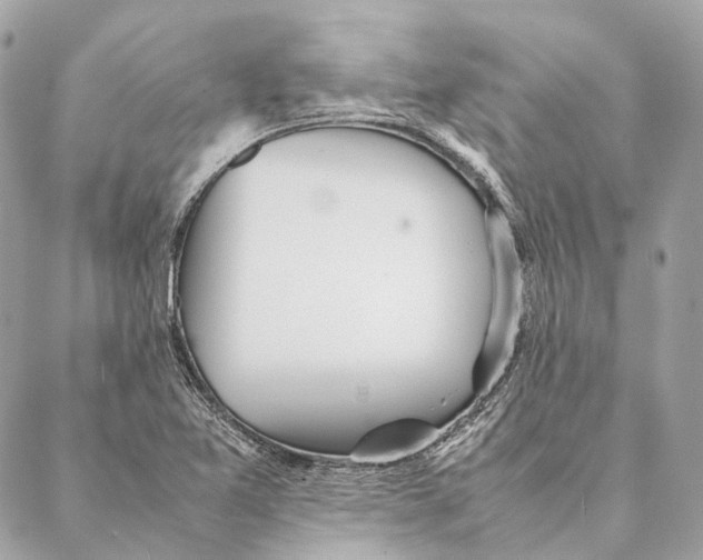 X0000087391365200705111750