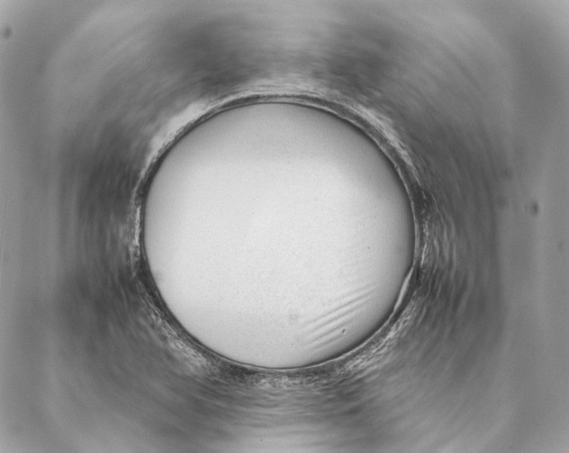 X0000087391366200705111750