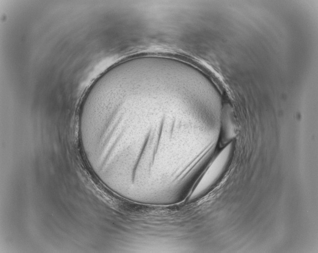 X0000087391367200705111750