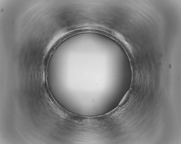 X0000087391368200705111750