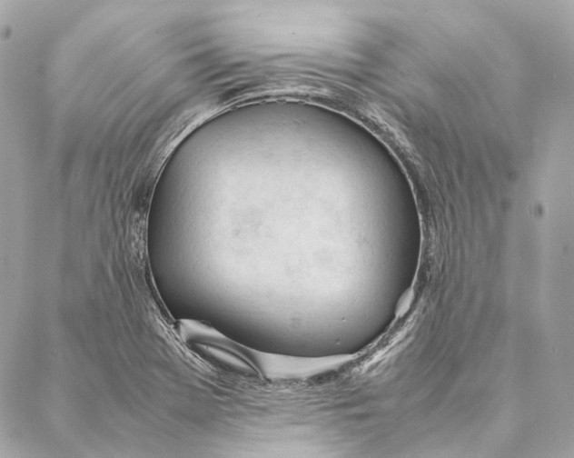 X0000087391369200705111750