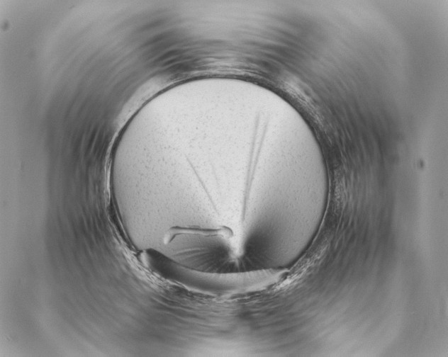 X0000087391370200705111750