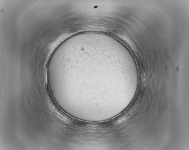 X0000087391371200705111750