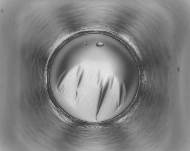 X0000087391372200705111750