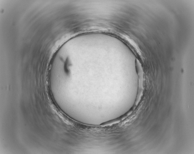 X0000087391373200705111750