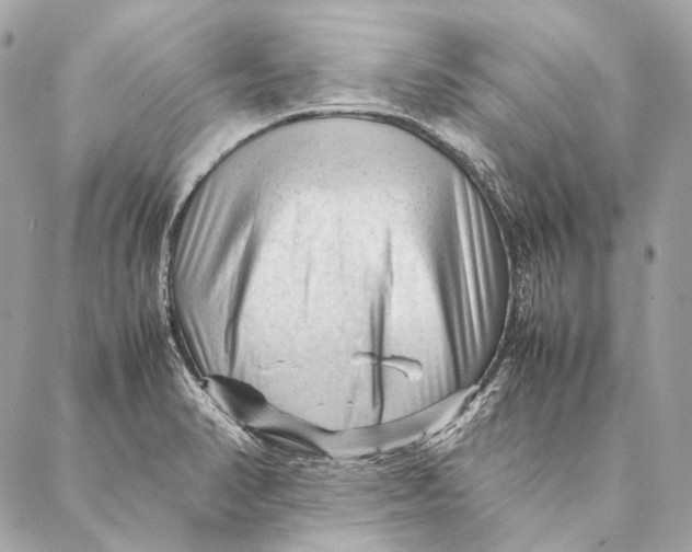 X0000087391374200705111750