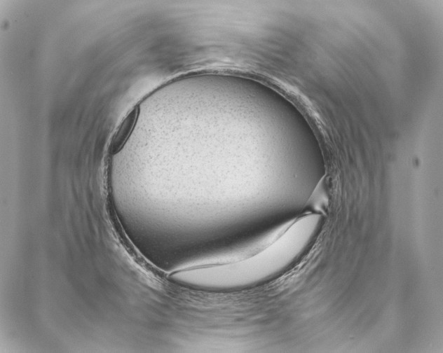 X0000087391375200705111750