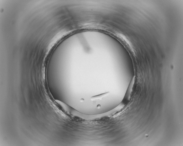 X0000087391376200705111750