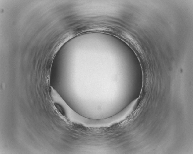 X0000087391377200705111750