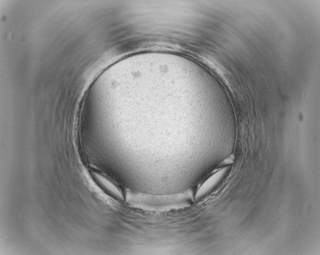 X0000087391379200705111750