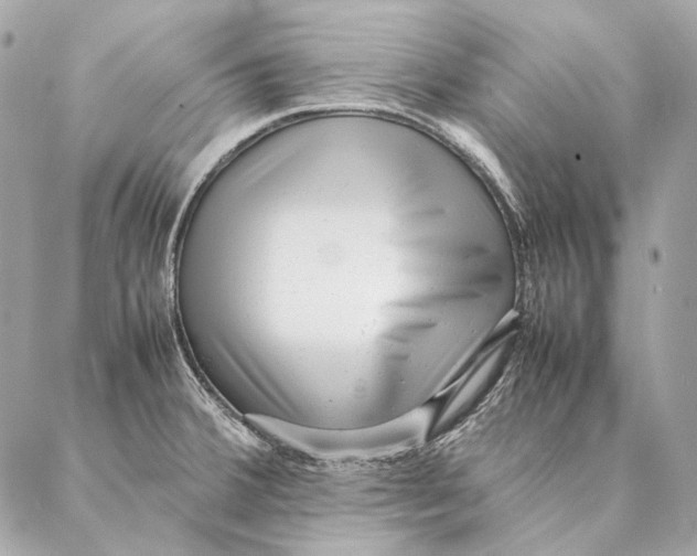 X0000087391380200705111750