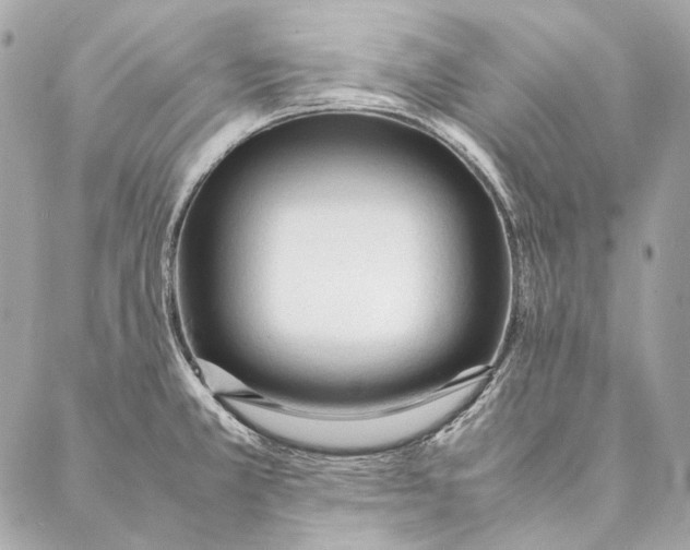 X0000087391381200705111750