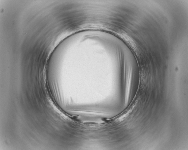 X0000087391382200705111750