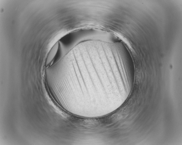 X0000087391383200705111750