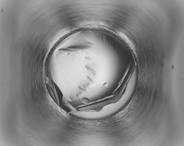 X0000087391384200705111750