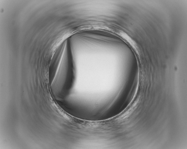 X0000087391385200705111750