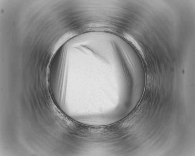 X0000087391386200705111750