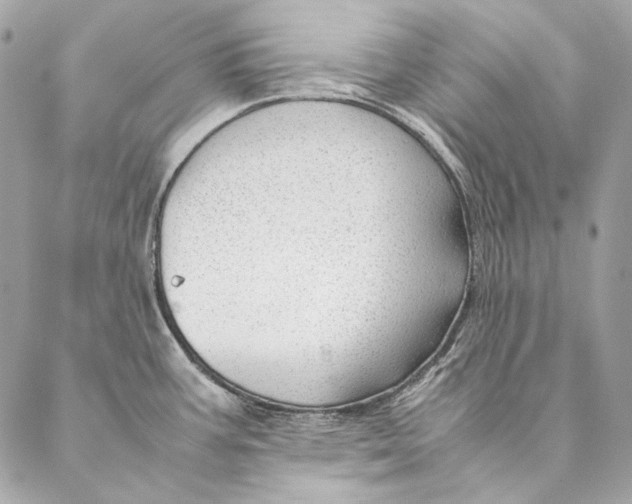 X0000087391387200705111750