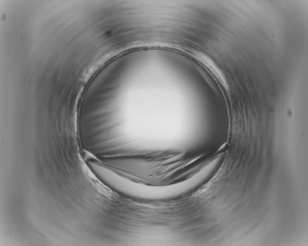 X0000087391388200705111750