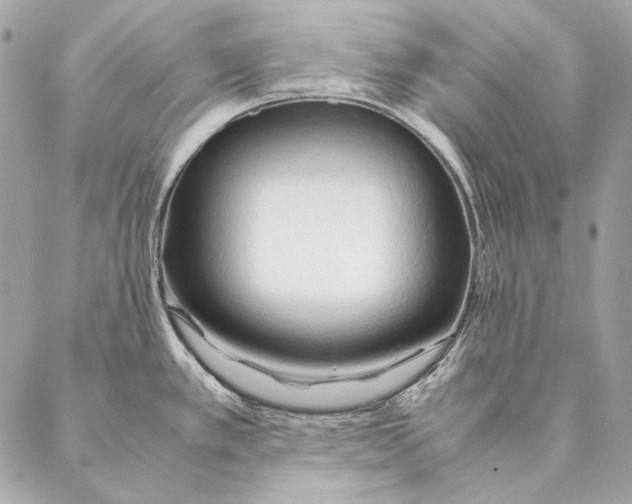 X0000087391389200705111749