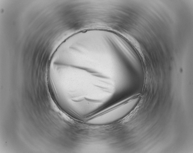 X0000087391390200705111749