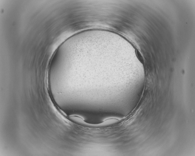 X0000087391391200705111749