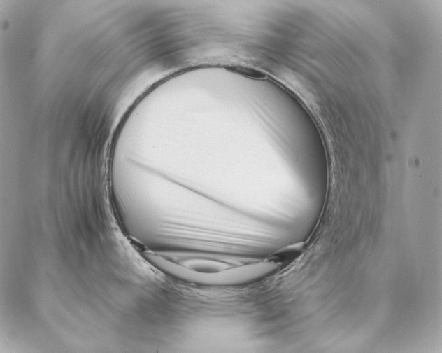 X0000087391392200705111749