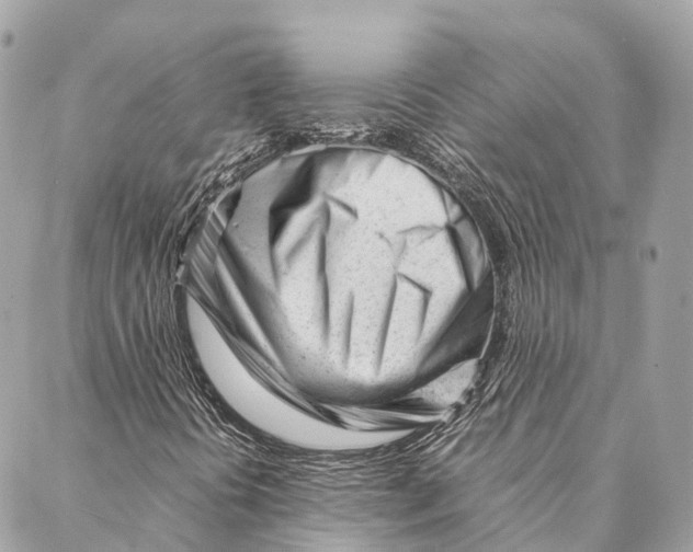 X0000087391394200705111749