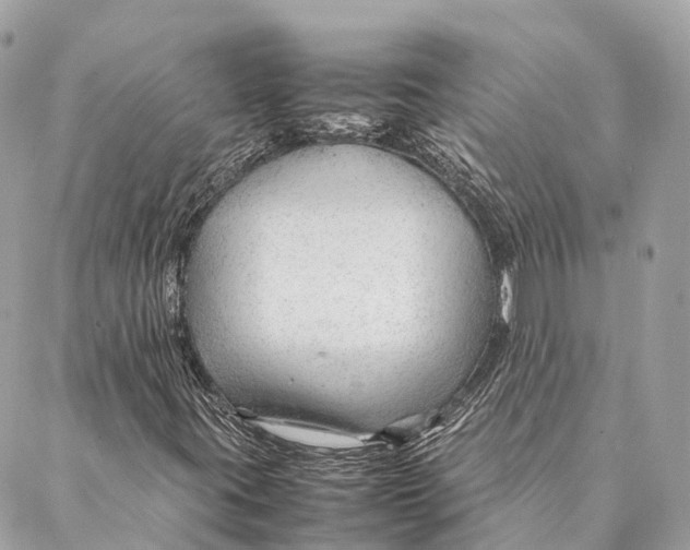 X0000087391395200705111749