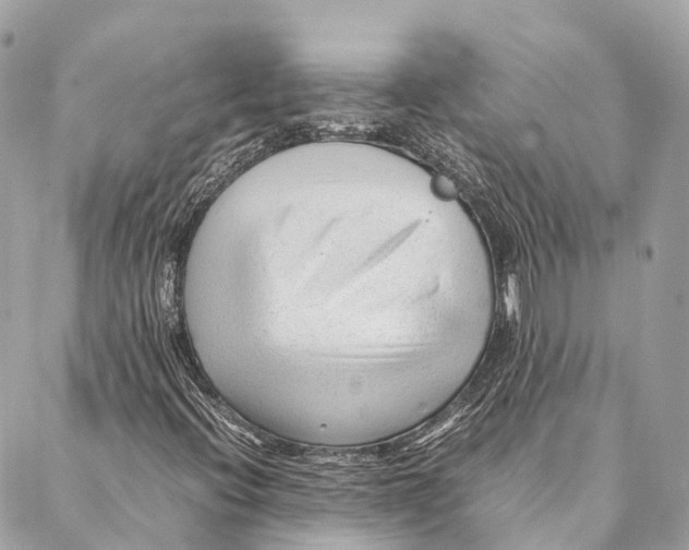 X0000087391396200705111749