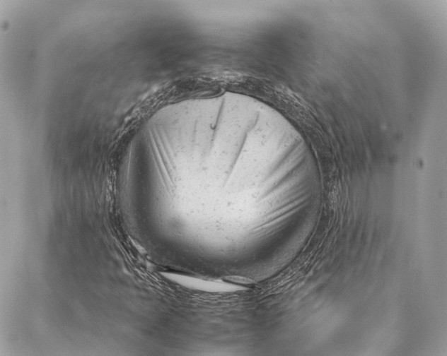 X0000087391397200705111749