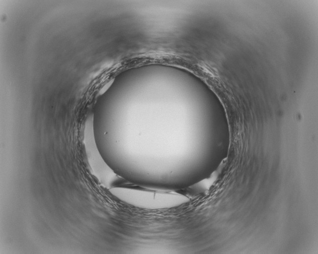 X0000087391398200705111749