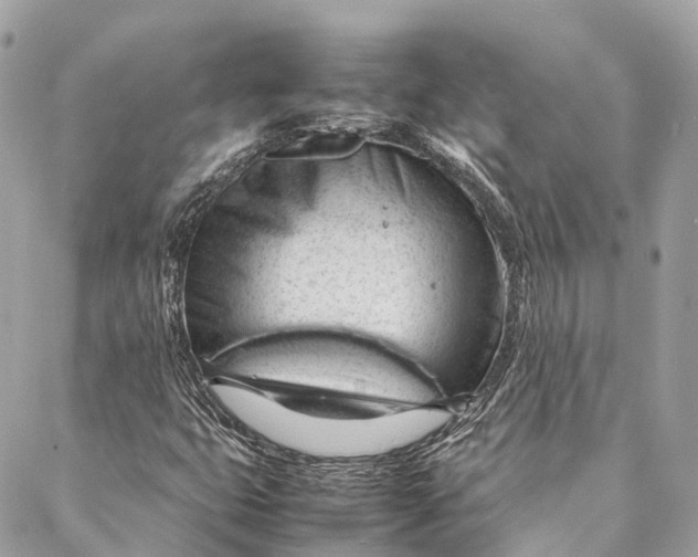 X0000087391399200705111749