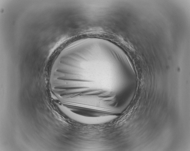 X0000087391400200705111749