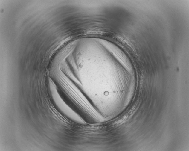 X0000087391401200705111749