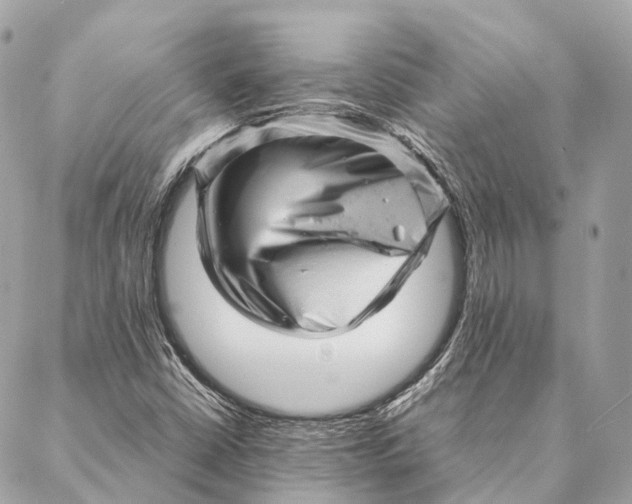 X0000087391402200705111749