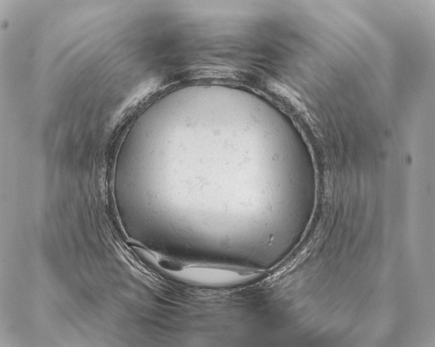 X0000087391403200705111749