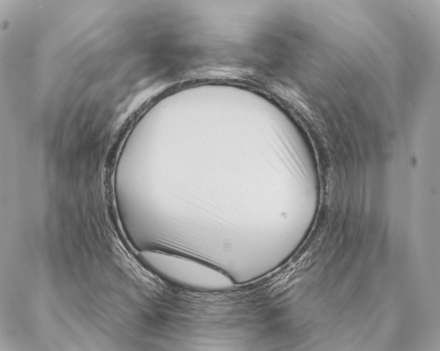 X0000087391404200705111749